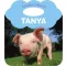 Állatbarátaim - Tanya