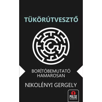 Tükörútvesztő