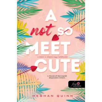   A Not So Meet Cute - A (nem is olyan) nagy találkozás (Cane Fivérek 1.)