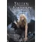 Fallen Academy - Bukottak Akadémiája 3. - Harmadik év