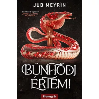 Bűnhődj értem!