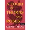 A Court of Thorns and Roses – Tüskék és rózsák udvara (Tüskék és rózsák udvara 1.)