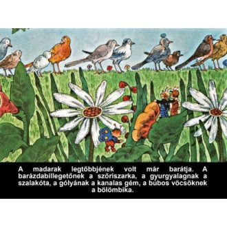 A nagyravágyó feketerigó - Diafilm