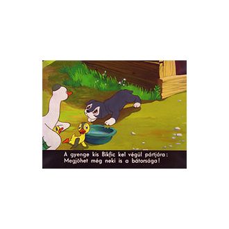 Kutyakötelesség - Diafilm