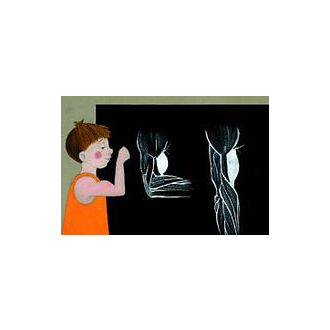 Testünk felépítése - Diafilm